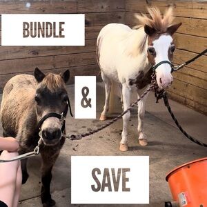 Those are not their names and they are not our minis. We LOVE them though!